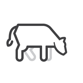 icon of a cow