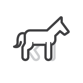 icon of a horse